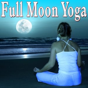 收聽Meditation Spa的Yoga Dance in Motion歌詞歌曲