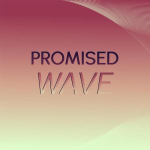 ดาวน์โหลดและฟังเพลง Promised Wave พร้อมเนื้อเพลงจาก Eler Caio