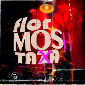 Listen to Perro Tobillero (En Vivo) song with lyrics from Flor Mostaza