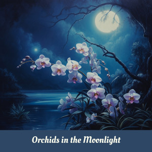 Dengarkan lagu Orchids in the Moonlight nyanyian The Clebanoff Strings & Percussion dengan lirik