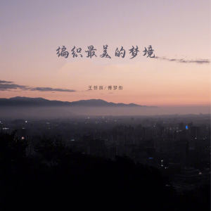 Album 编织最美的梦境 from 王忻辰