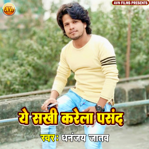 ดาวน์โหลดและฟังเพลง Ye Sakhi Karela Pasand พร้อมเนื้อเพลงจาก Dhananjay Jatav