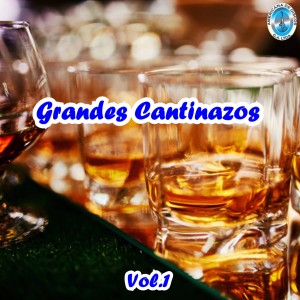 Dengarkan lagu Sirva Trago nyanyian Los Cuyitos dengan lirik