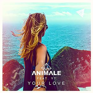 อัลบัม Your Love (feat. Y?) (Radio Edit) ศิลปิน Animale