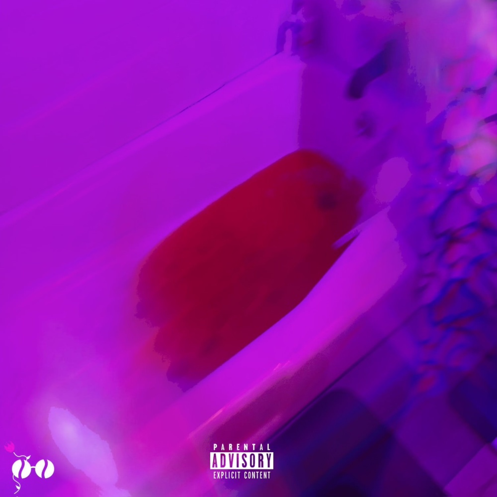 Defective (feat. Norman Watson) (Explicit)