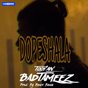 Listen to Toofan Badtameez song with lyrics from Dopeshala