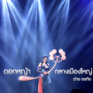ดาวน์โหลดและฟังเพลง ดอกหญ้ากลางเมืองใหญ่ พร้อมเนื้อเพลงจาก ต่าย อรทัย
