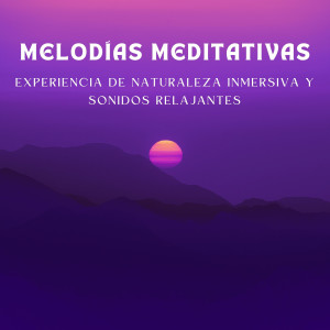 Oriqi Soundhealing的专辑Melodías Meditativas: Experiencia De Naturaleza Inmersiva Y Sonidos Relajantes
