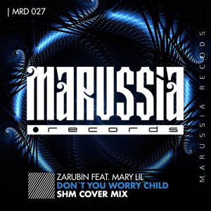 Listen to Don't You Worry Child (Radio Edit) song with lyrics from Zarubin