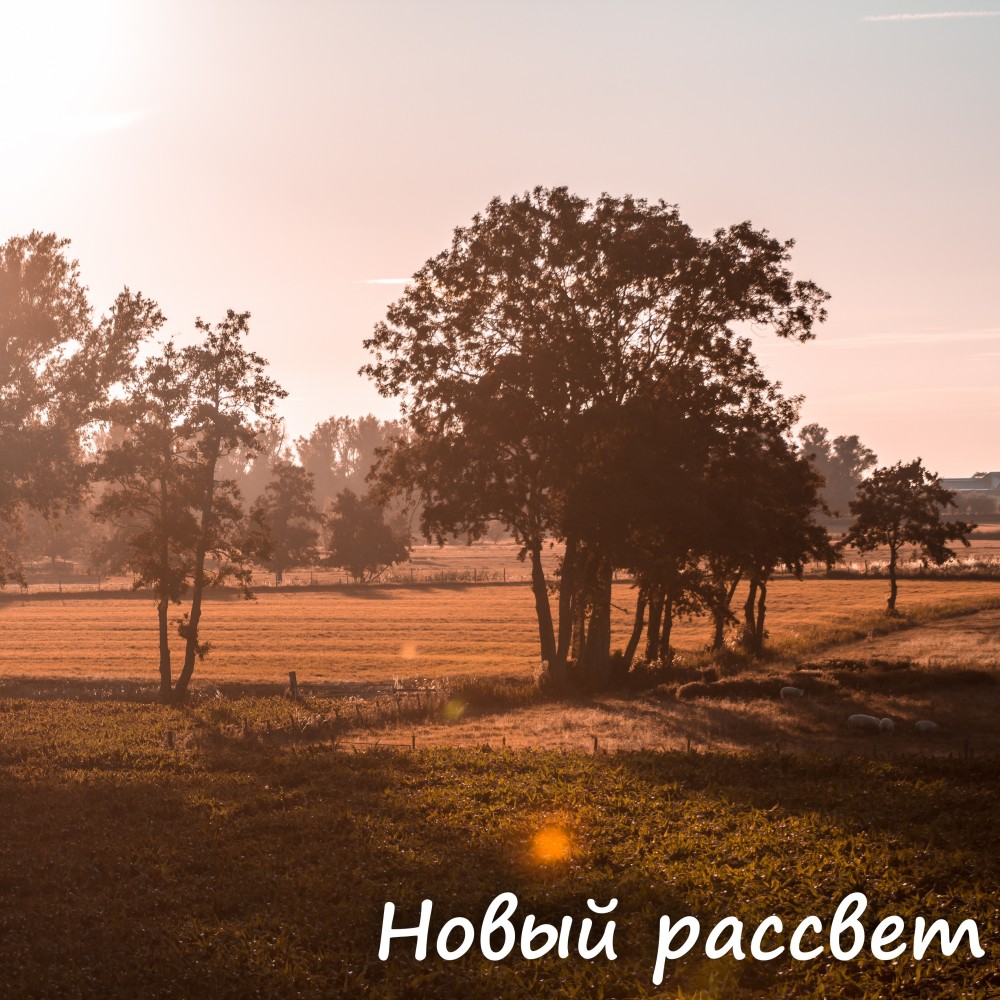 Война