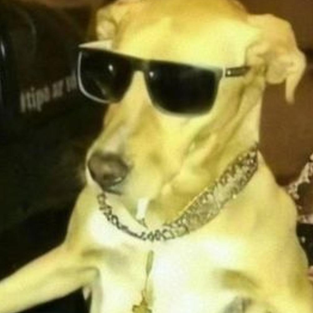 Pisadinha do Menino Àrabe