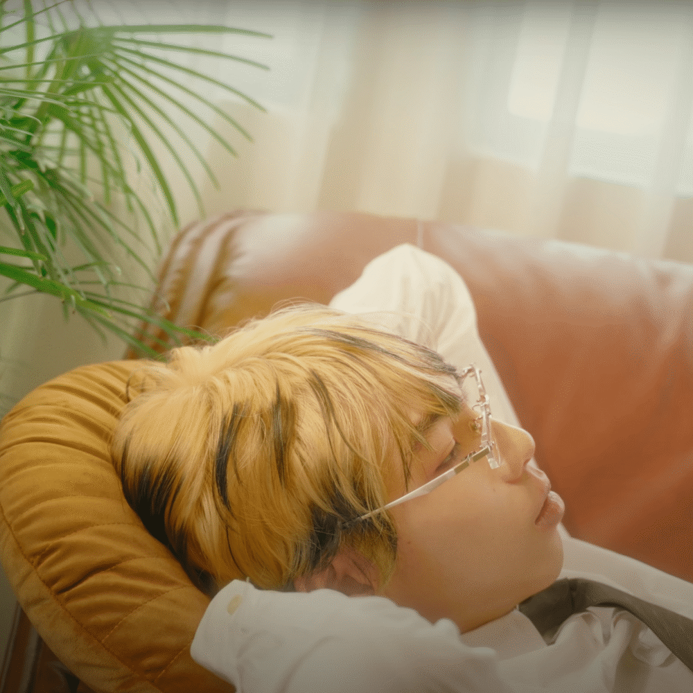 VINCE 砚