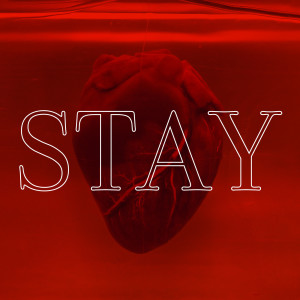 ดาวน์โหลดและฟังเพลง Stay พร้อมเนื้อเพลงจาก Patron