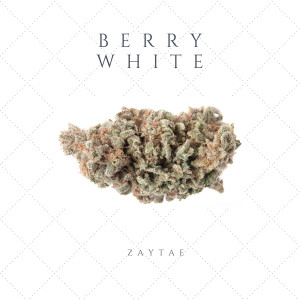 Dengarkan lagu Berry White (Explicit) nyanyian ZayTae dengan lirik
