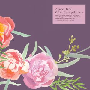 Album CCM Piano For Appreciation Of Agape Tree from Korea Various Artists