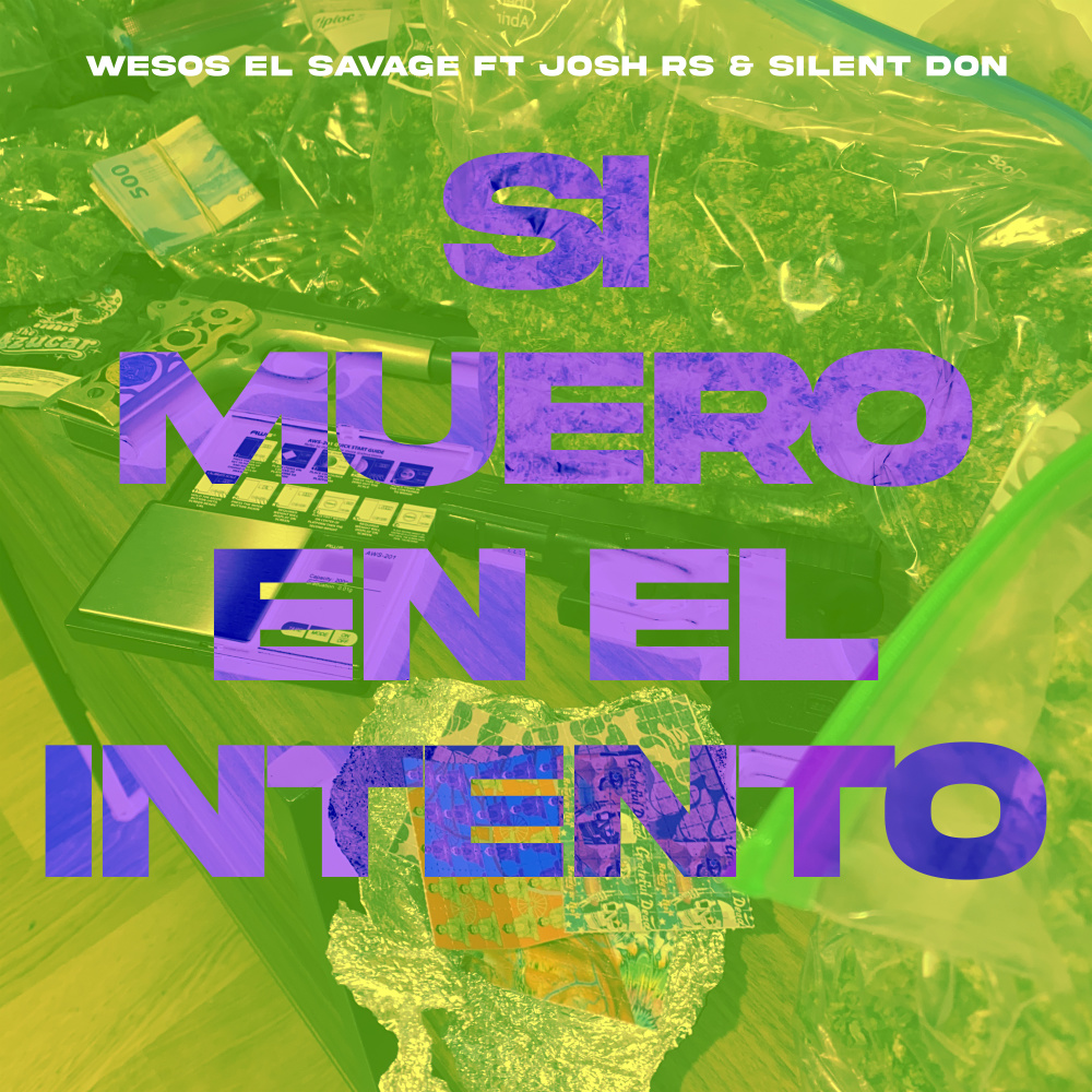 Si Muero en el Intento (其他)