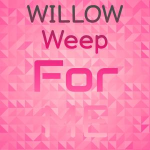 Listen to Willow Weep For Me song with lyrics from Billy Tipton