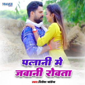Ritesh Pandey的專輯PALANI ME JAWANI ROWATA