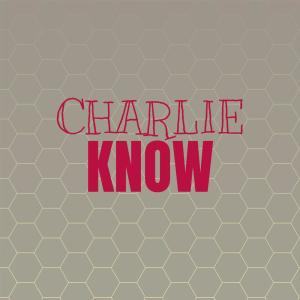 Listen to Mortality Visor song with lyrics from Cunie Shul