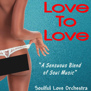 收聽Soulful Love Orchestra的Never Gonna Give You Up歌詞歌曲