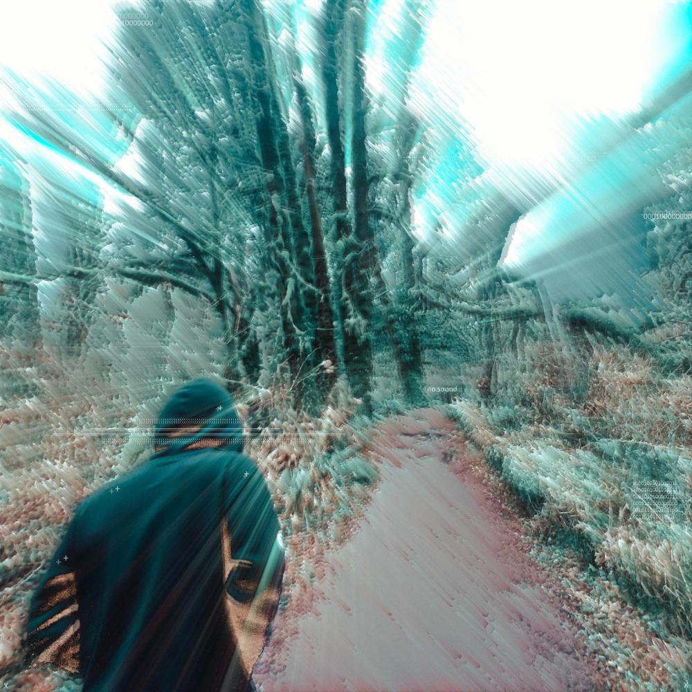 sight