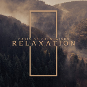 Listen to Glow of Fire song with lyrics from Oasis of Relaxation