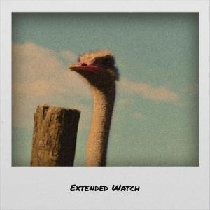 收聽Denisa Jemer的Fails Whomever歌詞歌曲