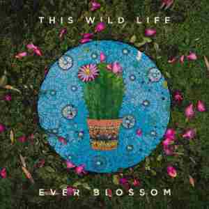 Album If It's Cool With You, I'm Cool With Being Through oleh This Wild Life