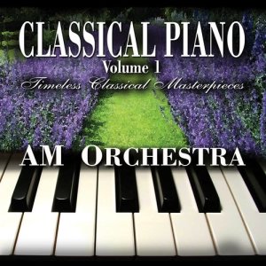 收聽AM Orchestra的Turkish March歌詞歌曲