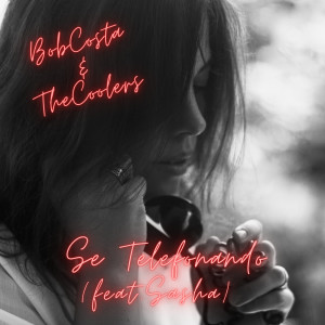 ดาวน์โหลดและฟังเพลง Se telefonando พร้อมเนื้อเพลงจาก Bob Costa