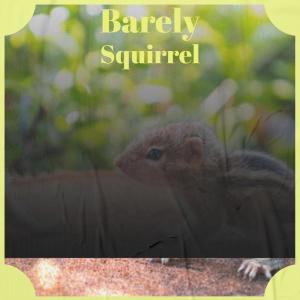Album Barely Squirrel from Various