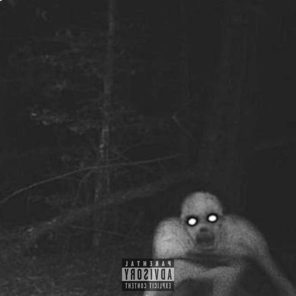 FAKE (feat. Tyler Vari) (Explicit)