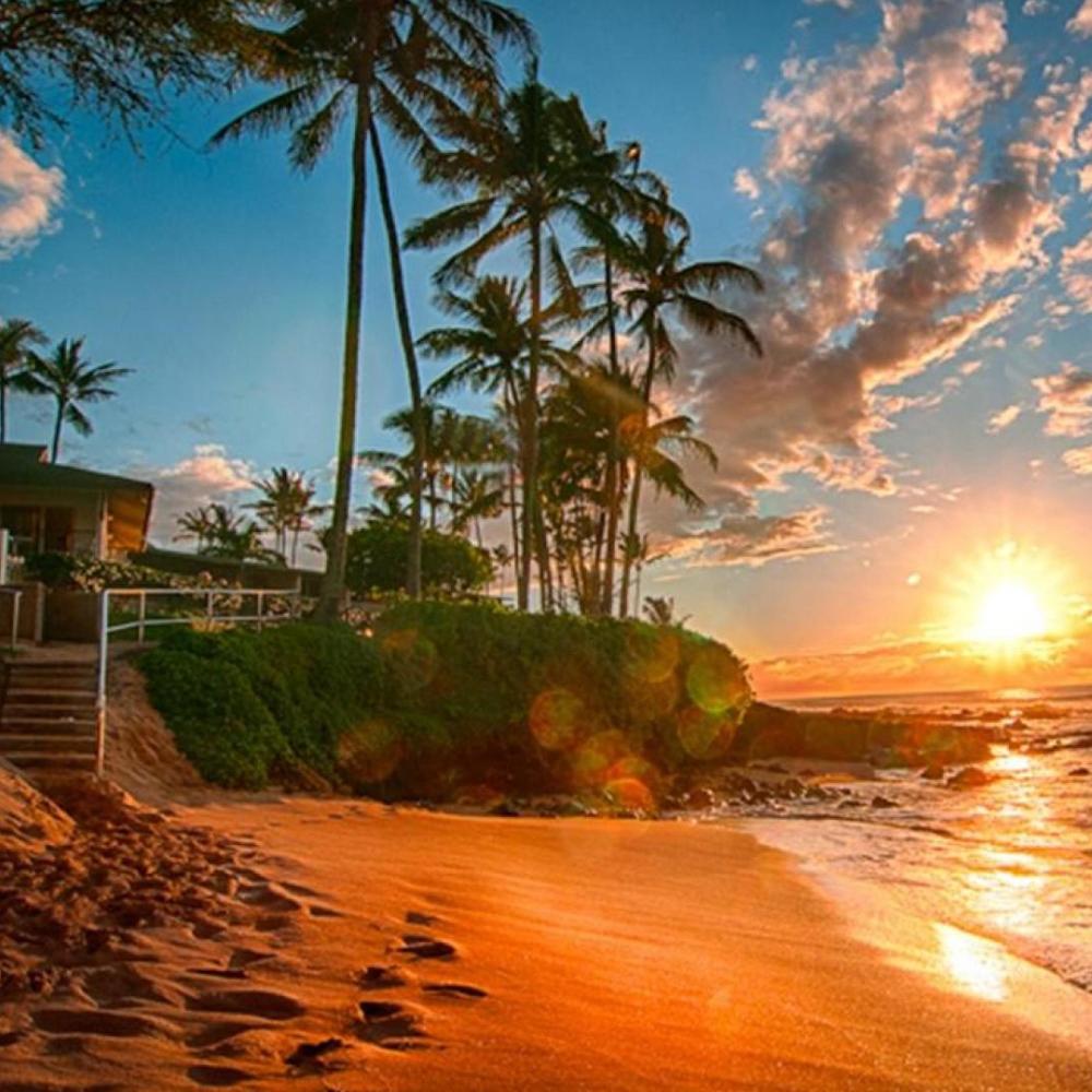A journey in Hawaii