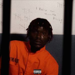 ดาวน์โหลดและฟังเพลง I know you miss me bitch! (Explicit) พร้อมเนื้อเพลงจาก Bass Santana