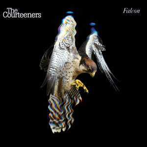 Album Falcon from The Courteeners