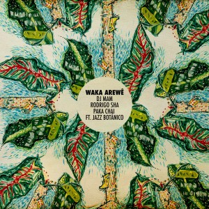 ดาวน์โหลดและฟังเพลง Waka Arewê พร้อมเนื้อเพลงจาก DJ MAM