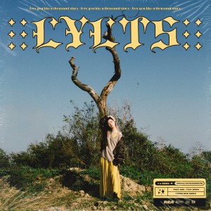 Listen to Love you like a thousand stars song with lyrics from 도페인