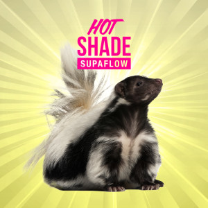 Hot Shade的专辑Supaflow