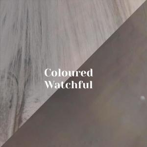 Various的专辑Coloured Watchful