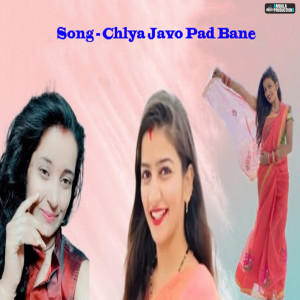 Listen to Chlya Javo Pad Bane song with lyrics from Preeti Choudhary Nagaur