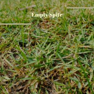 ดาวน์โหลดและฟังเพลง Empty Spite พร้อมเนื้อเพลงจาก Kevon Shing