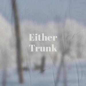 Album Either Trunk from 