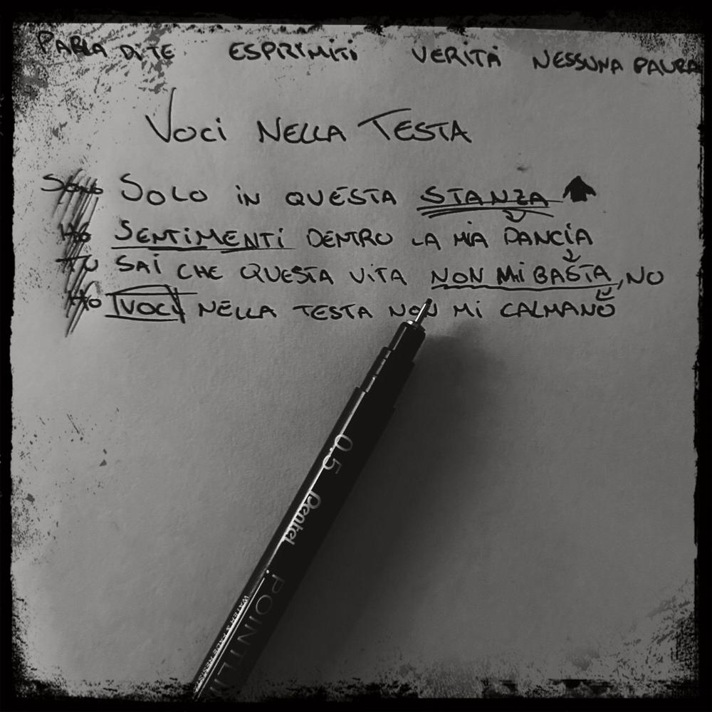 VOCI NELLA TESTA