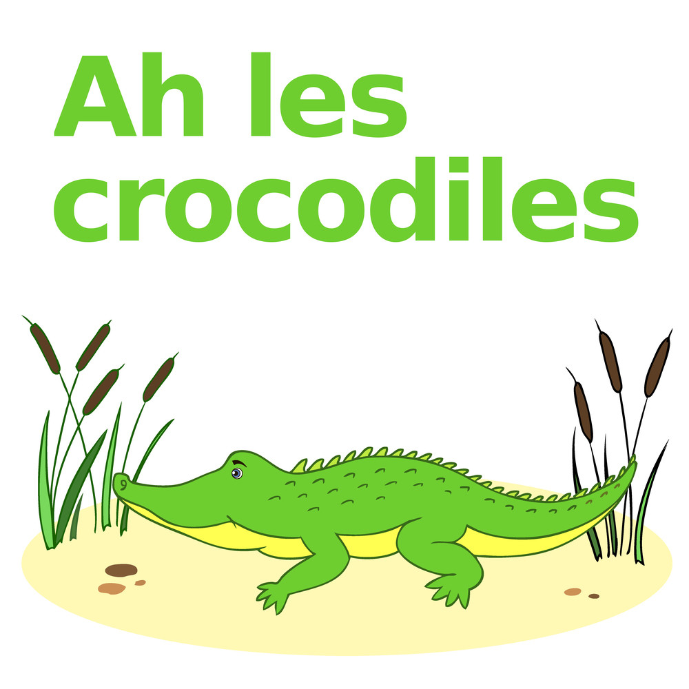 Ah les Crocodiles (version berceuse)