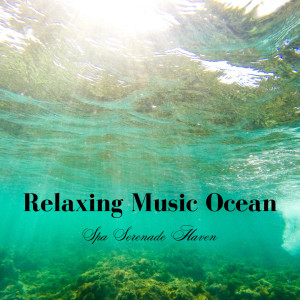 Relaxing Music Ocean: Spa Serenade Haven dari Coast to Coast Recordings