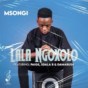 Listen to Lala Ngoxolo song with lyrics from Msongi