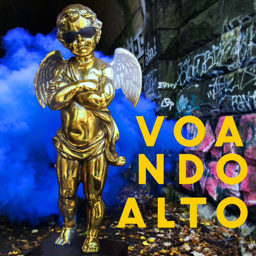 Voando Alto