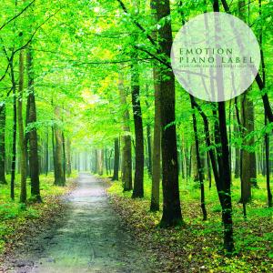 Dengarkan I'll Protect You Nature Version (Nature Ver.) lagu dari 민서진 dengan lirik