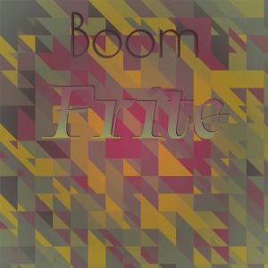 Various的专辑Boom Frite