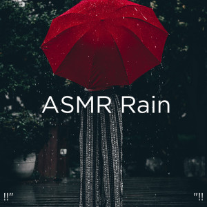 ดาวน์โหลดและฟังเพลง Rain Sounds พร้อมเนื้อเพลงจาก Rain Sounds